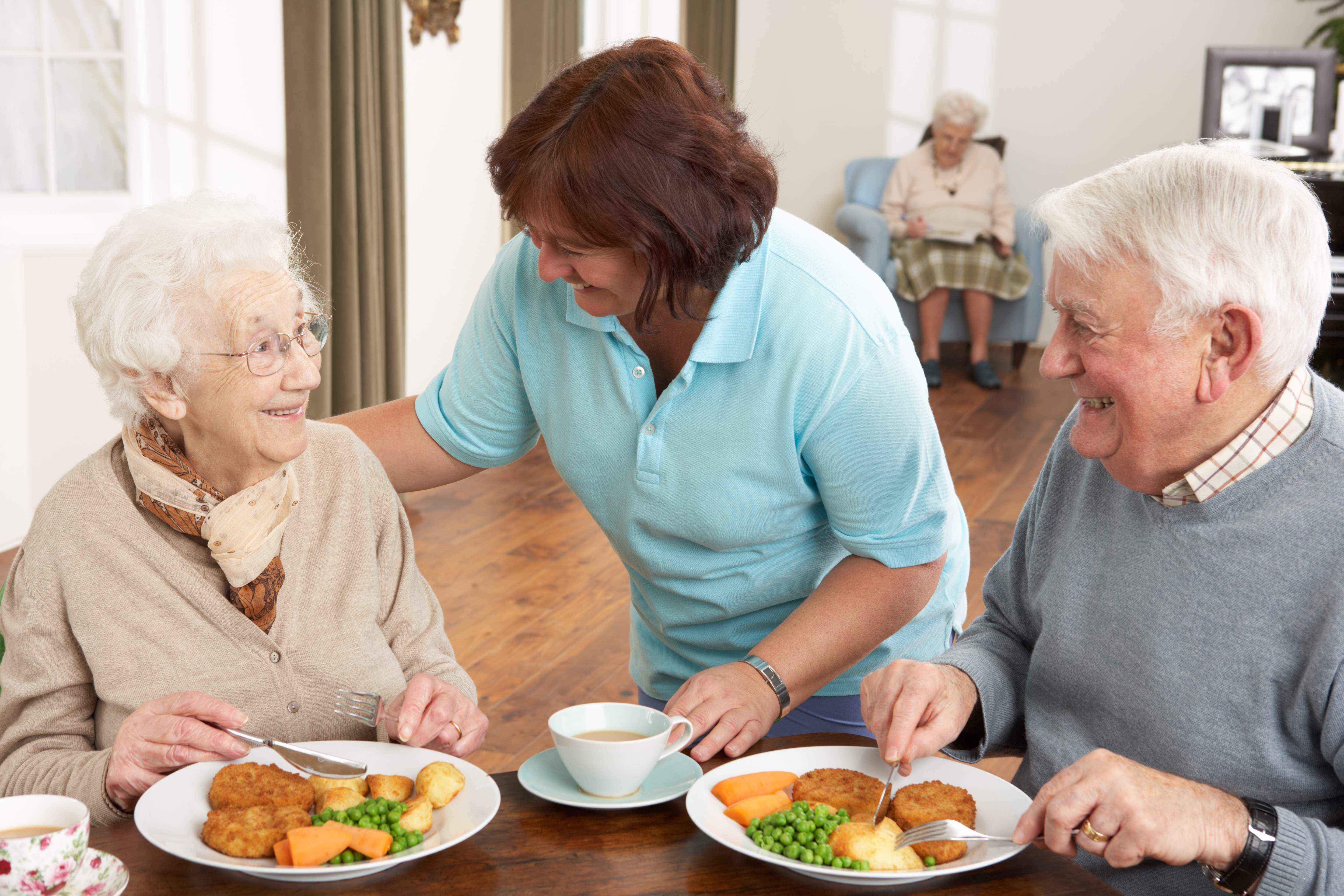 Senior,Couple,Being,Served,Meal,By,Carer